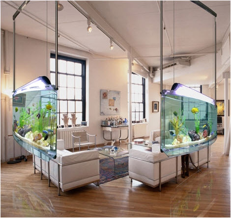 Look Ma, No Tables: The Hanging Aquarium