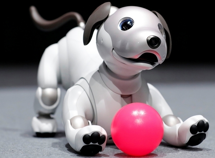 Sony robot store dog for sale