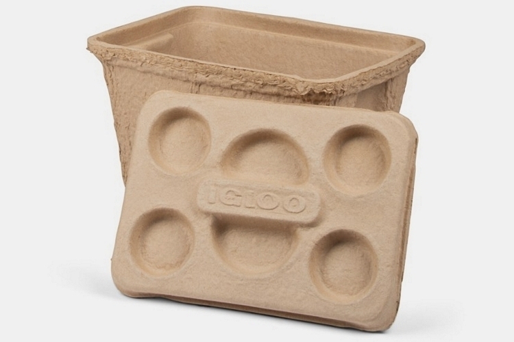 Igloo sales compostable cooler