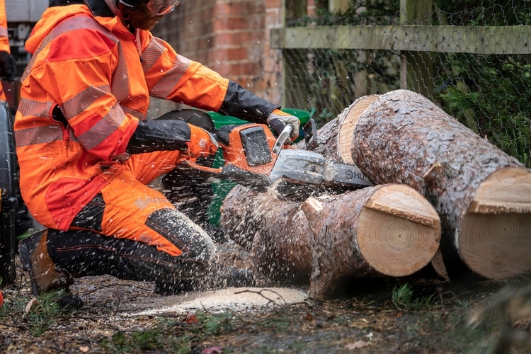 The best battery online powered chainsaw