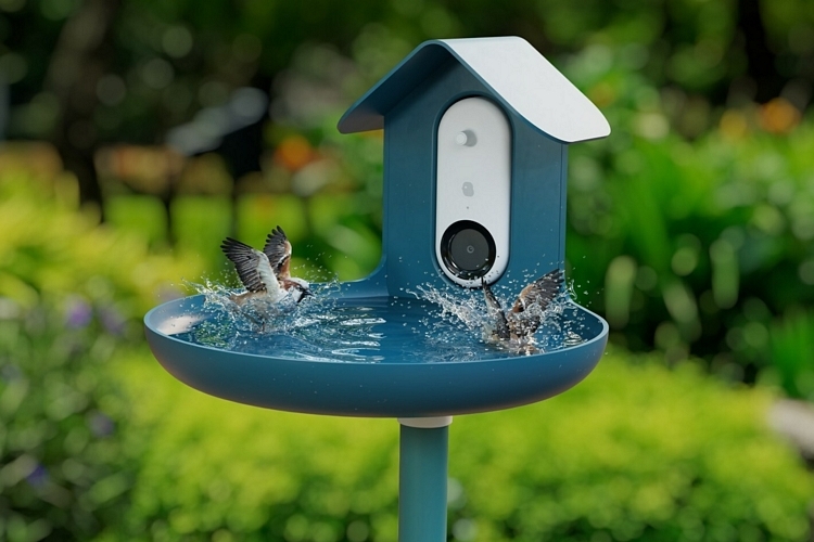 Bird Feeder with Mini IP Camera - Green Backyard